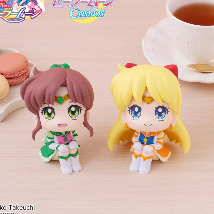 Static Pose Vinyl Model Lookup Eternal Sailor Jupiter ?? Eternal Sailor Venus (with gift)