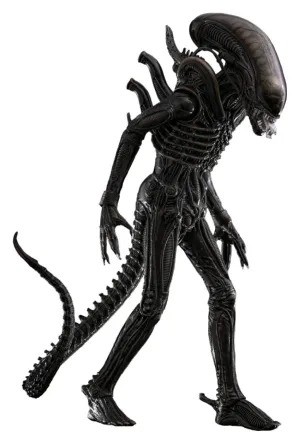 Exploration Reward Hot Toys Big Chap - Alien (1979) - MMS826 - 1/6 Scale Collectible Figure