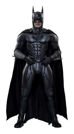 Interactive Design Technique Practice Hot Toys Batman - Batman & Robin - MMS786 - 1/6 Scale Collectible Figure