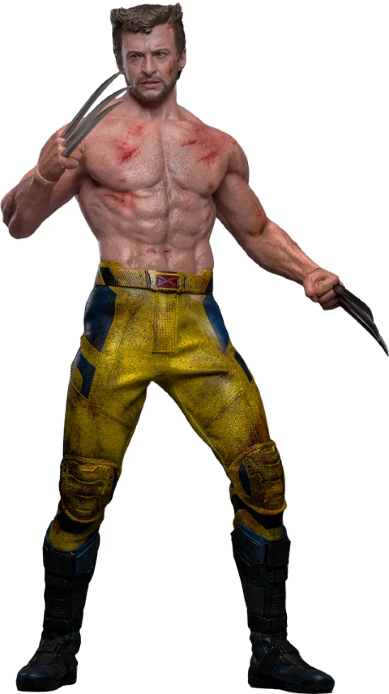 Hot Toys Wolverine (TVA Jacket Version) - Deadpool & Wolverine - MMS756 - 1/6 Scale Collectible Figure Pop Culture Geek Culture