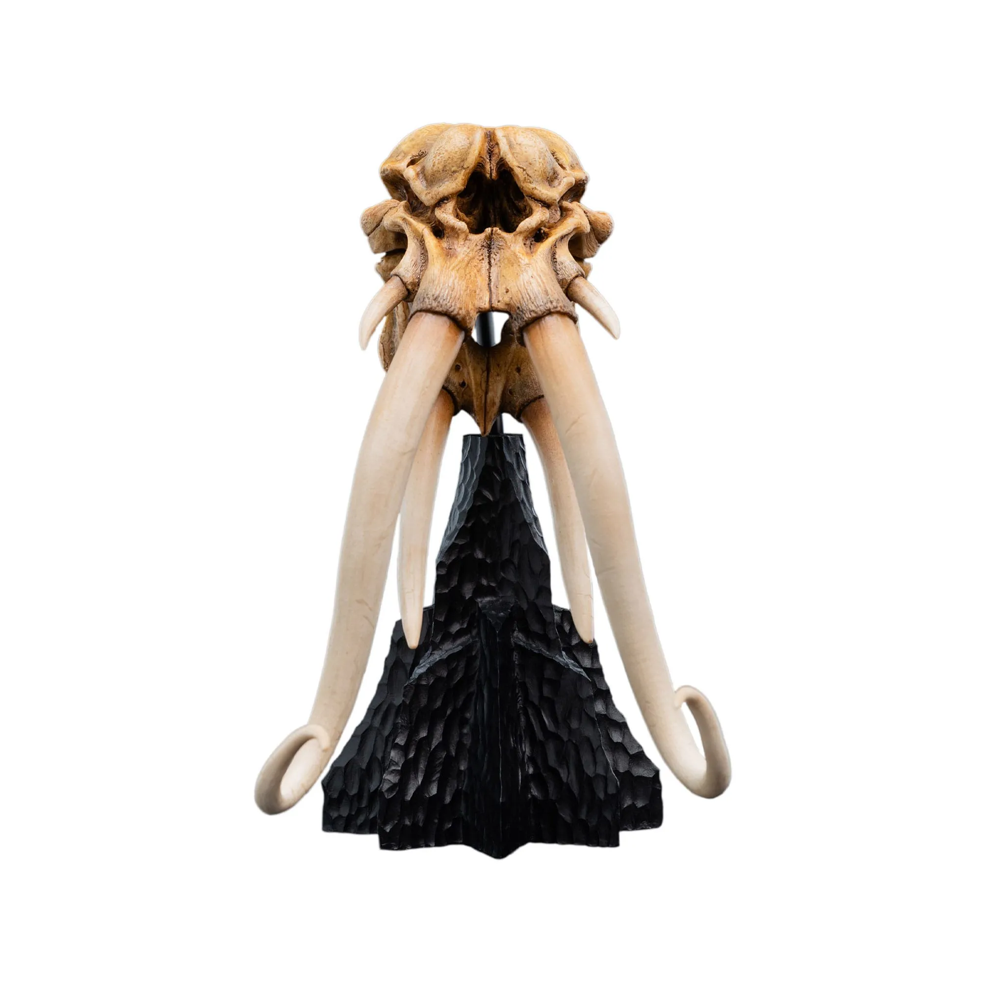 Weta Lord of the Rings Skull of a Mumak Mini Statue Ability Maximize Magic Carpet