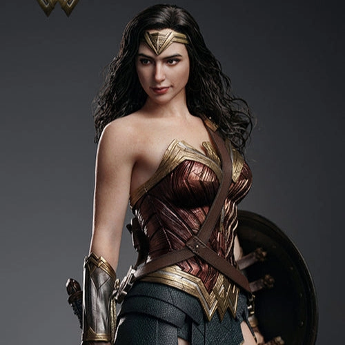 INART Batman v Superman Dawn of Justice Wonder Woman 1/6 Scale Figure Abstract art College Decor