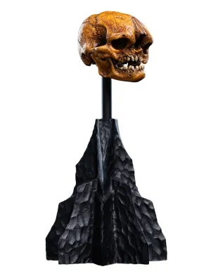 Weta Lord of the Rings Skull of a Misty Mountain Goblin Mini Statue Tornado Model Skill Level
