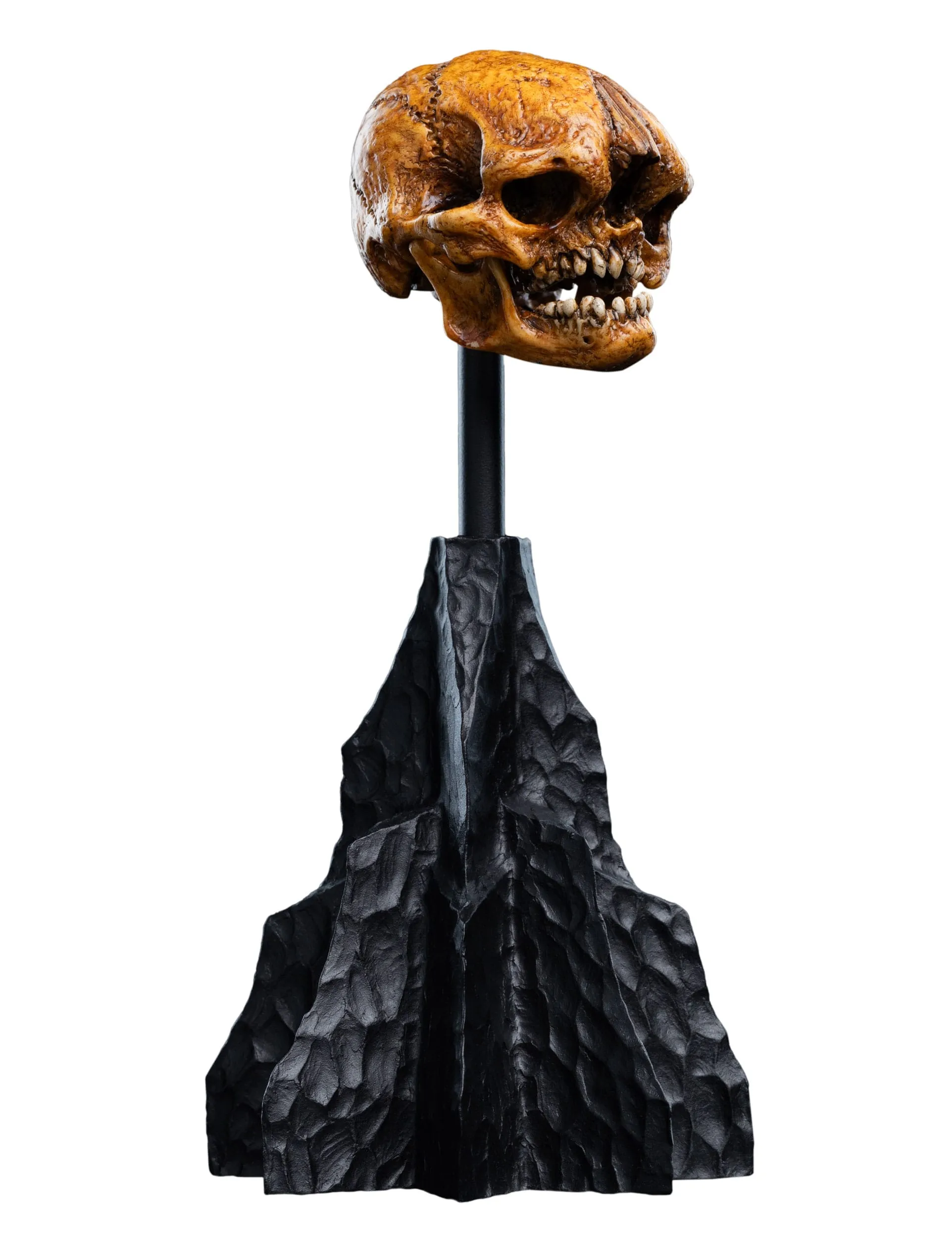 Pearlescent Shine Weta Lord of the Rings Skull of a Misty Mountain Goblin Mini Statue