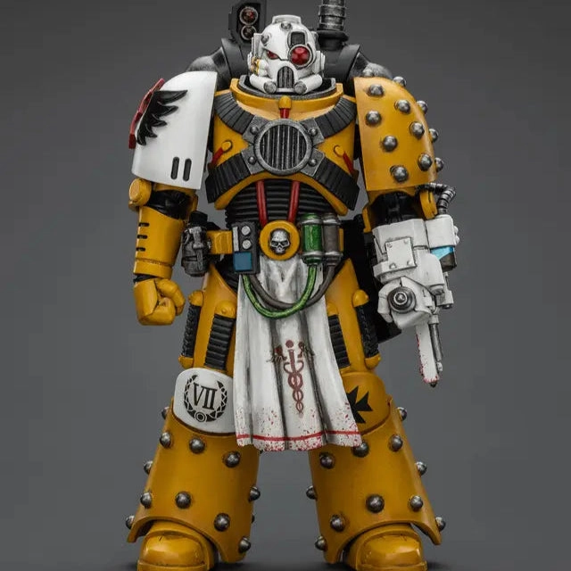 WARHAMMER Imperial Fists Legion Apothecary Superhero Display