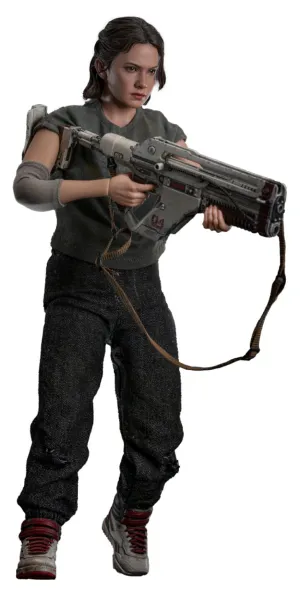 Exclusive item gift ideas Hot Toys Rain Carradine - Alien: Romulus - MMS793 - 1/6 Scale Collectible Figure