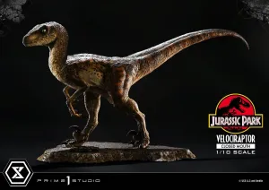 Prime 1 Studio Jurassic Park Velociraptor Closed Mouth Prime Collectibles 1/10 Statue Element Collection Visual Stimulation