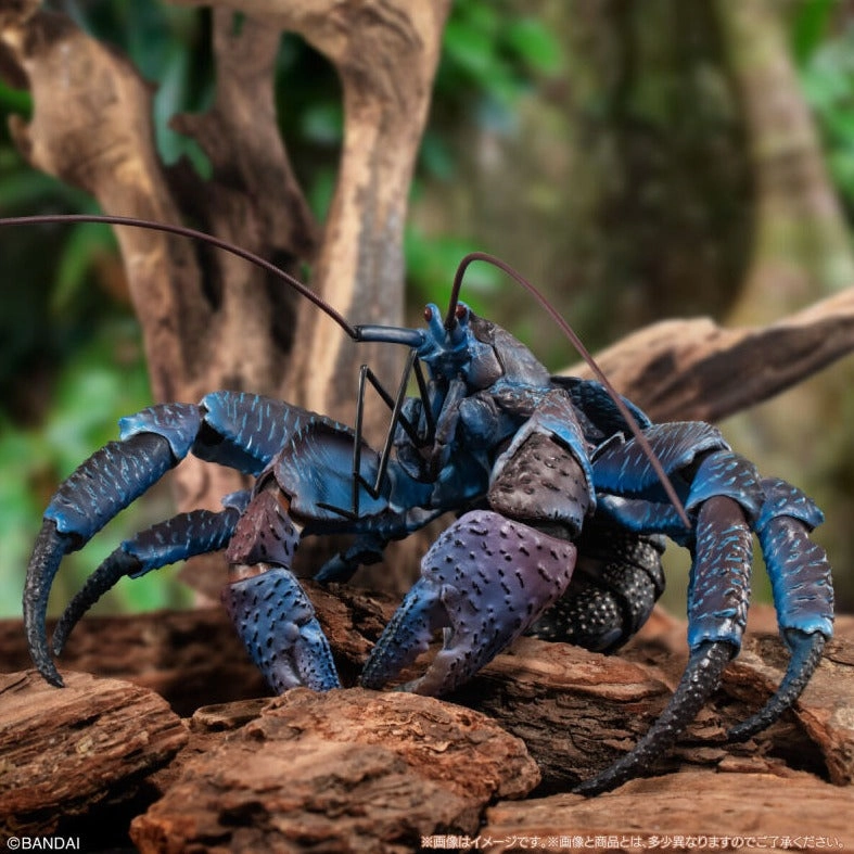 Sculpture Art The Diversity of Life on Earth Premium COCONUT CRAB