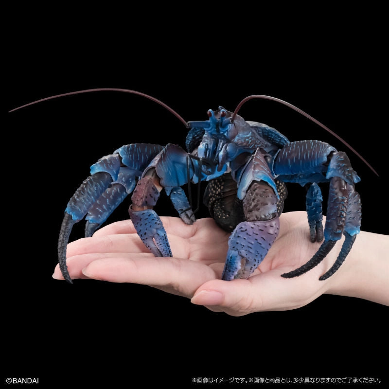 Sky Animal Evergreen Product The Diversity of Life on Earth Premium COCONUT CRAB