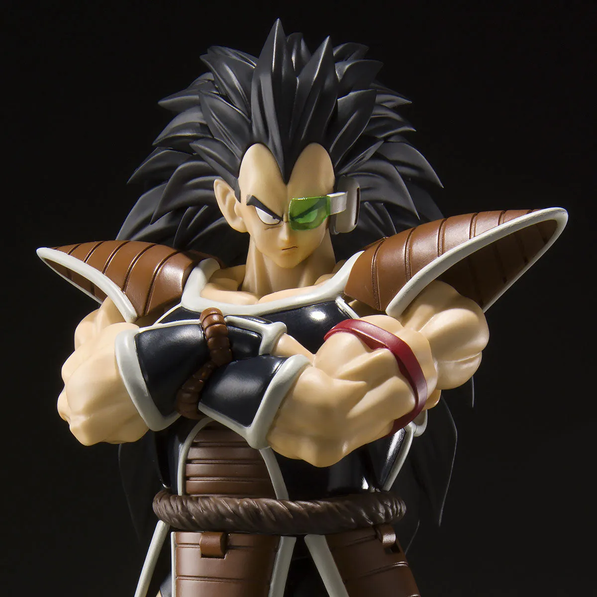Minimalist Home S.H.Figuarts RADITZ