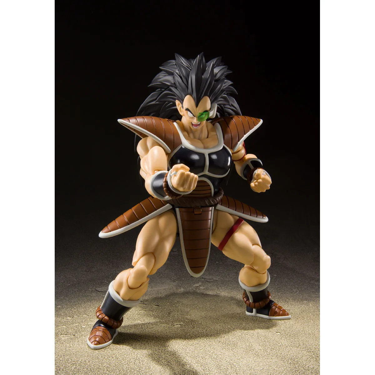 Themed Background Anniversary Present S.H.Figuarts RADITZ