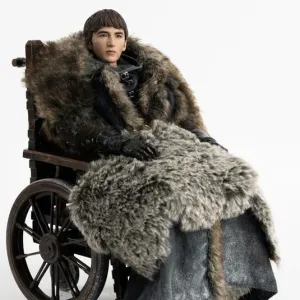 Vinyl Unit Threezero Game of Thrones BRAN STARK Deluxe Version